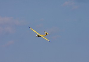IMG_7655