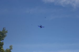 img_8904